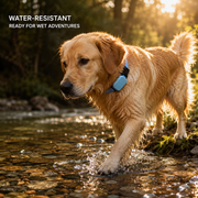 PetSure RoamTag GPS Tracker