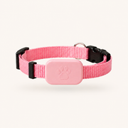 PetSure RoamTag GPS Tracker